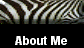  About Me 